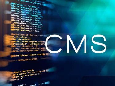 CMS治理系统解决计划